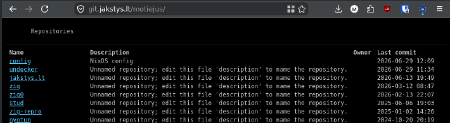 Screenshot of stagit